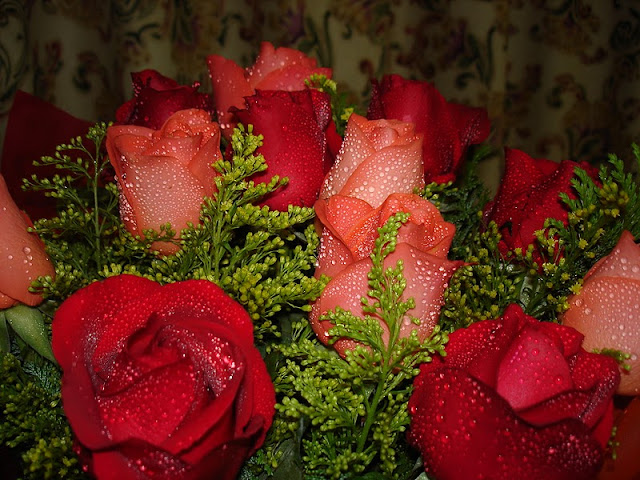 Lagrimas_de_uma_Rosa_01_by_sesinando.jpg