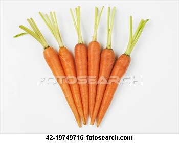 [six-carrots_~42-19749716[1][3].jpg]