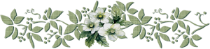 Image6.png