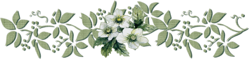 Image6.png
