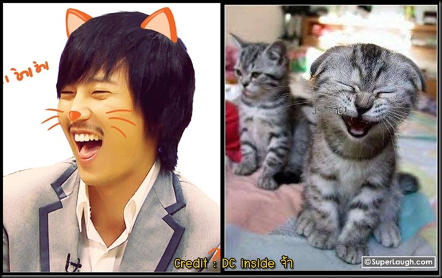 คิมนัมกิลหัวเราะเหมือนแมว