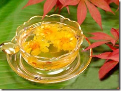 chrysanthemum tea is made form chrysanthemum flowers belonging to the 