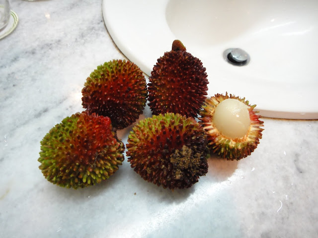 不过食完野之后发觉有d唔妥, 放心唔系有咩头晕身热, 又唔系肚痛