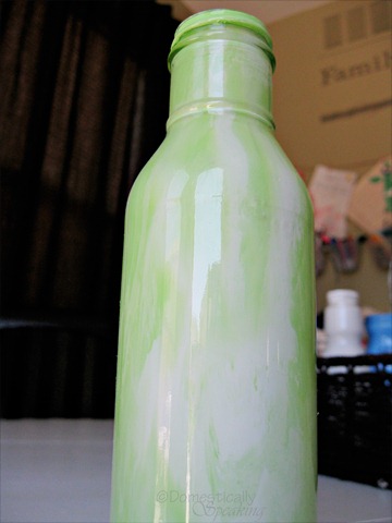 [paintedbottles74.jpg]