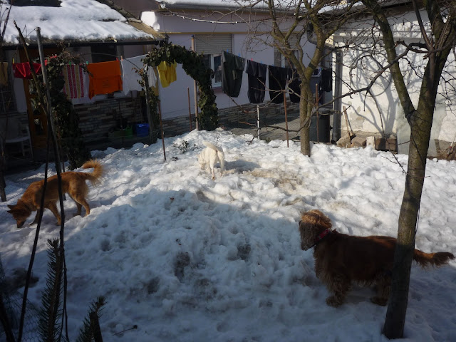 P1010293.JPG