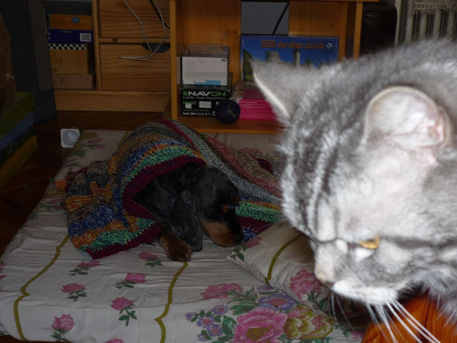 P1010649.JPG