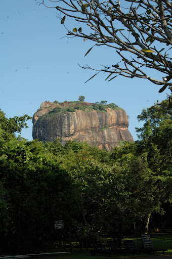 DSC_2250.JPG