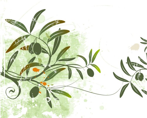 ShutterStock.-.Olive.Branch.jpg