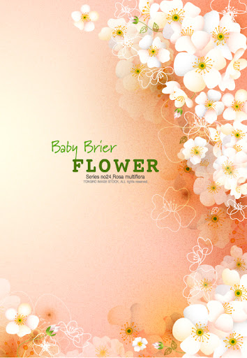 Baby.Brier.Flower.Background-aiovector.com.jpg