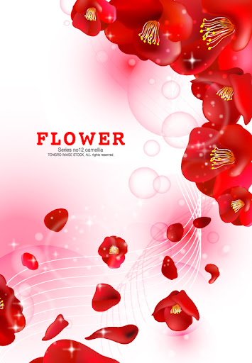 Poppy.Flower.Background-aiovector.com.jpg