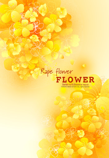 Rape.Flower.Background-aiovector.com.jpg