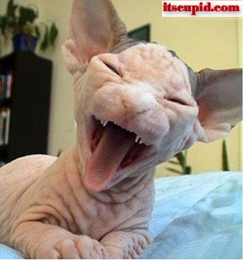 2010-11-24_231202.jpg