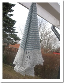 andreas shawl 008