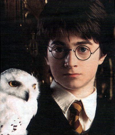 zoe wanamaker harry potter. Harry mit Hedwig