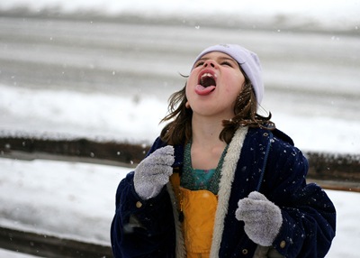 Rose catching snowflakes