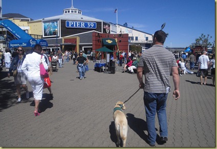 Reyna walking at Pier 39 with lots of people around her.  She is ignoring them...yay!