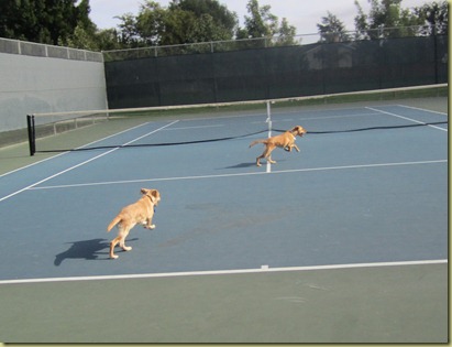 Vienna and Wendy as they took of running in the tennis court together.