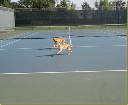 Vienna and Wendy running like crazy in the tennis courts.
