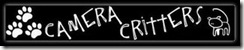 CCbadge CCbadge