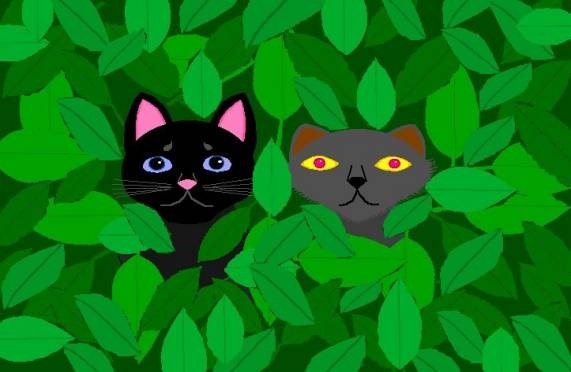 [cats in woods[3].jpg]