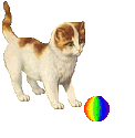 gatinhos15.png