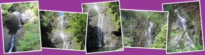 View Maui Waterfalls