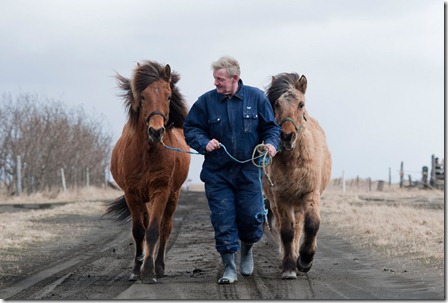 Ingi Sveinbjoernsso leads his horses on a road covered volcanic ash back to his barn in Yzta-baeli, Iceland on April 18, 2010. They come galloping out of the volcanic storm, hooves muffled in the ash, manes flying. 24 hours earlier he had lost the shaggy Icelandic horses in an ash cloud that turned day into night, blanketing the landscape in sticky gray mud. (HALLDOR KOLBEINS/AFP/Getty Images) #