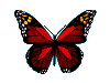 papillons-67.png