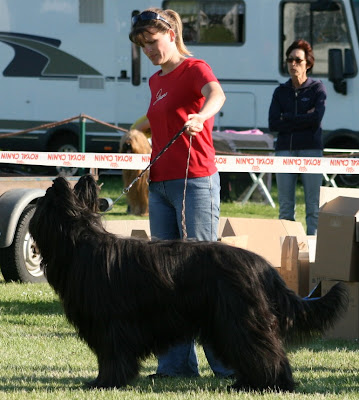 IMG_2769.JPG