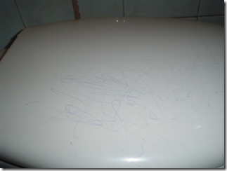 080420 Sun El 1er grafiti en la taza del baño de Josh travesuras-2