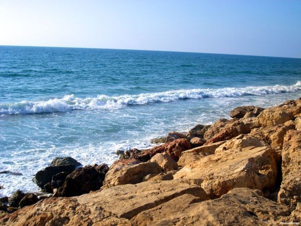 wallpaper beach
