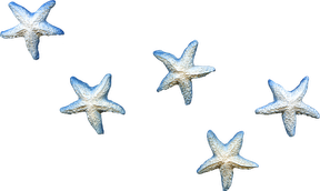 42.png