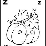 z.gif.jpg