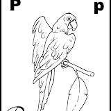 p.gif.jpg