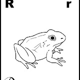 r.gif.jpg