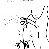 RANAS Y LAGARTOS-12.jpg