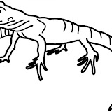 RANAS Y LAGARTOS-19.JPG