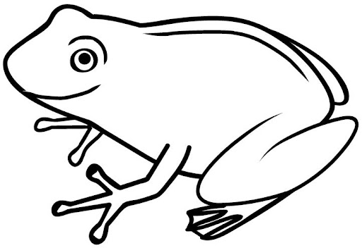 Dibujo rana facil - Imagui