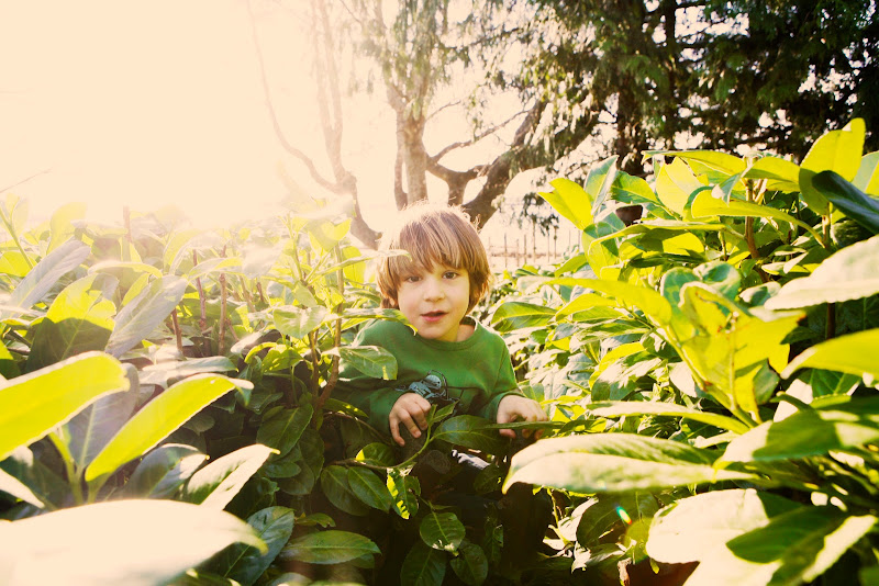 From the Heart: DEAR SAM