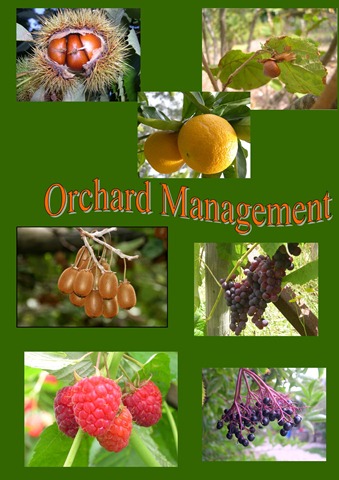 [orchard cover[3].jpg]