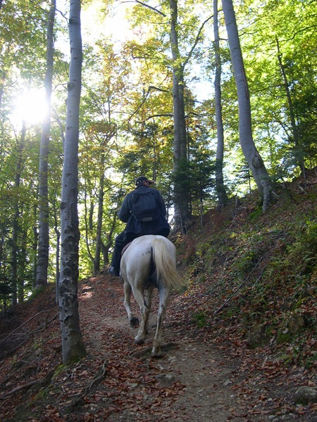 piatra craiului 079