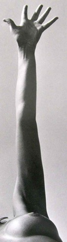 [Lucien Clergue[5].jpg]