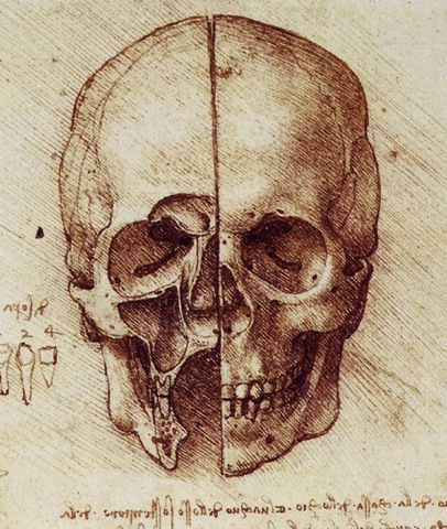[Leonardo Da Vinci Dibujos (4)[6].jpg]