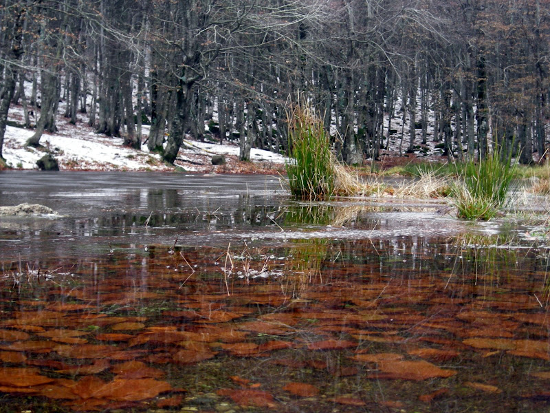 DSCN1754.JPG