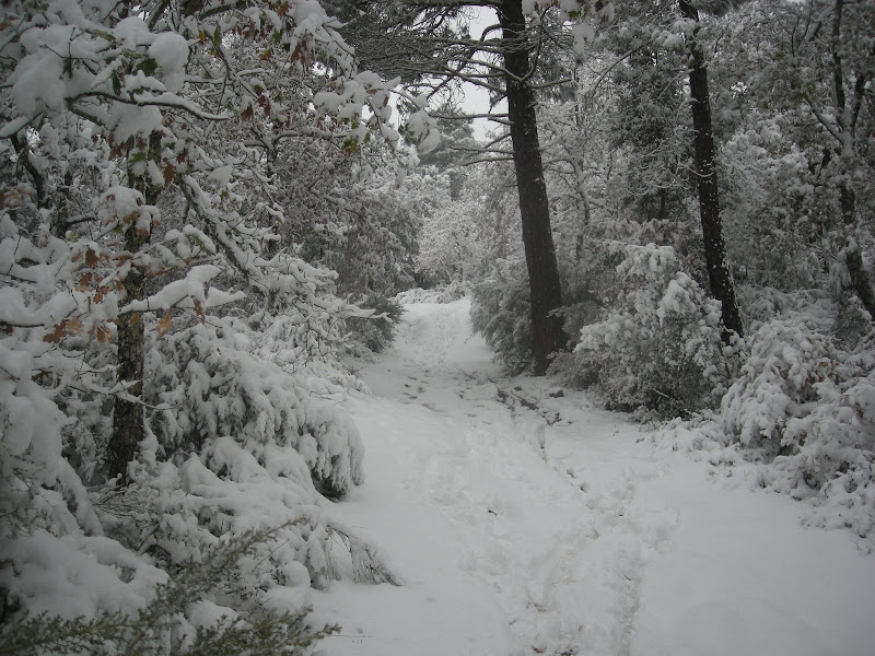 DSCN1937.JPG