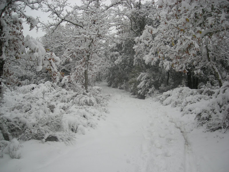 DSCN1939.JPG