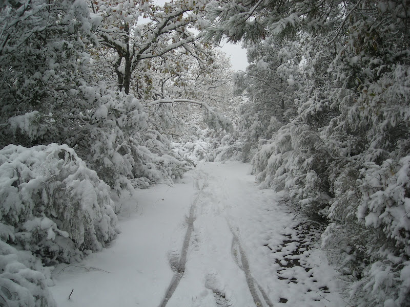 DSCN1949.JPG