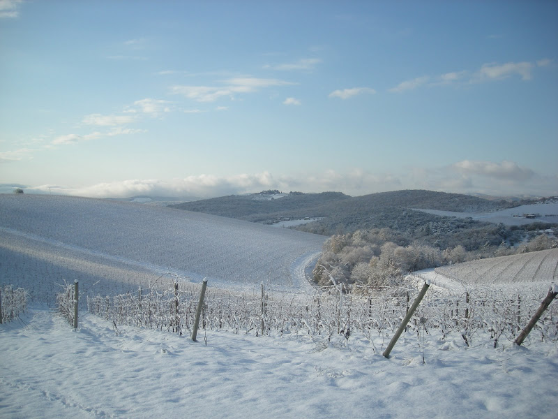 DSCN1965.JPG