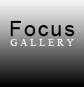 The Focus Gallery