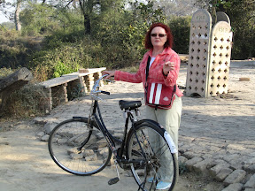 IMG_0363-2011-02-9-14-27.JPG